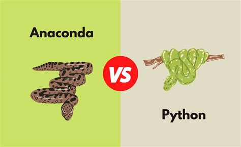 Difference Between SQL and Python에 대한 이미지 결과