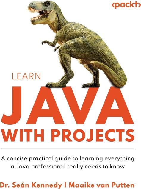 Learn Java With Projects: A Concise Practical Guide To Learning Everything A Java Professional Really Needs To Know