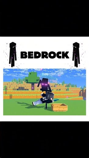 Minecraft Java vs Bedrock… This Makes NO Sense 💀😳