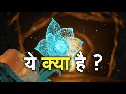 हिमालय की गुफा में मिली चमकती रहस्यमयी Life