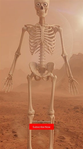 What Happens If You Land on Mars Without a Spacesuit? 💀