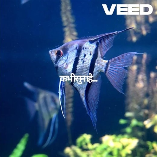 70 Million Years Old Fish Found Alive 😳 Deep Sea Mystery👉CoelacanthThe Living Fossil Found in Ocean