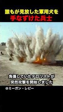 誰もが見放した軍用犬を手なずけた兵士