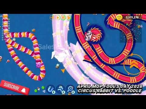 🐰🎪Circus Rabbit Vs 🐩Poodle April Mop Fools Day 2026 Worms Zone #InfoHargaPromoWifi#XLSatu#FirstMedia