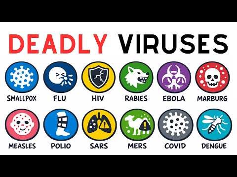 Every Deadly Virus That Ever Existed Explained in 10 Minutes