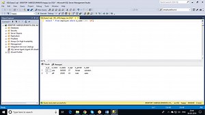 LIKE and BETWEEN Operators in SQL