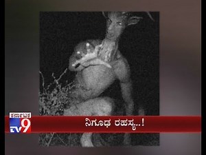 Shocking: Alien Like Creature Seen in Odisha, Kills Over 100 Sheep