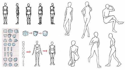 Drawing For Complete Beginners - Anatomy Made Easy | Fanny Richard | Skillshare