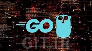 Go Programming: Build Fast, Scalable, Reliable Applications