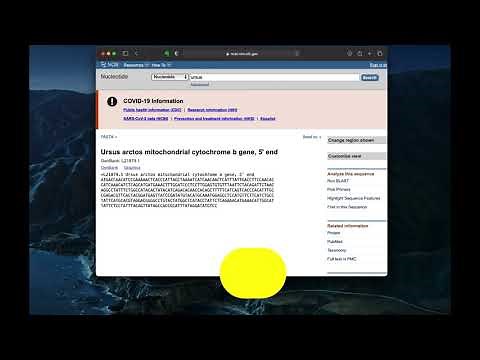 Make your own FASTA file