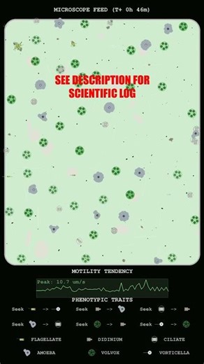 Kinetic Analysis of Amoeboid Swarms and Flagellate Surges