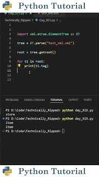 Reading & Extracting Data From XML Files | Python Tutorial