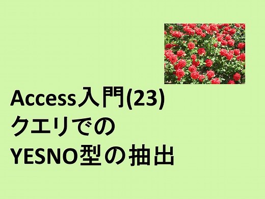 Access入門(23)クエリでのYESNO型の抽出