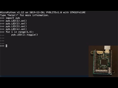 Using the Python REPL With a MicroPython Hardware