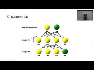 COMO FUNCIONA O ALGORÍTIMO GENÉTICO?