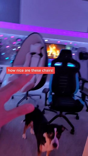 Secretlab vs. Alienware: Gaming Chair Showdown!