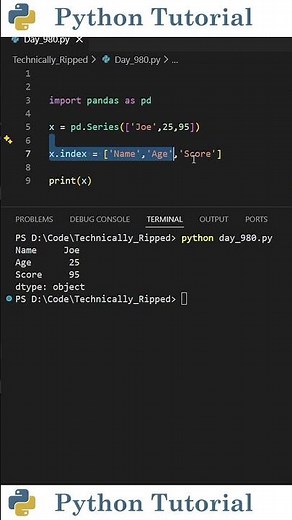 Create a Pandas Series With a Named Index | Python Tutorial