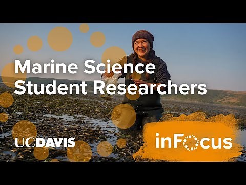 A Day in the Life of Marine Science Student Researchers