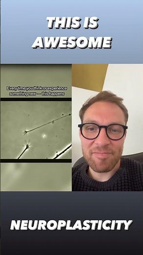 NEUROPLASTICITY | What happens in your brain!