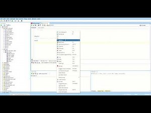 How to Open SQL scripts in SQL developer software .