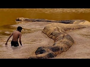 WEIRDEST Reptilian Cryptids