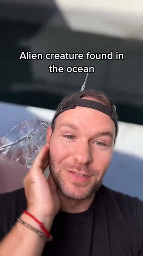 Alien creature found in the ocean. #alien #weird #creature | Jason Cline