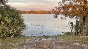 Lakeland PD investigate deaths of mom and sons in Lake Wire