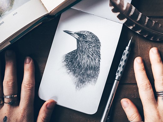 17 Drawing Techniques to Draw and Sketch like a Pro