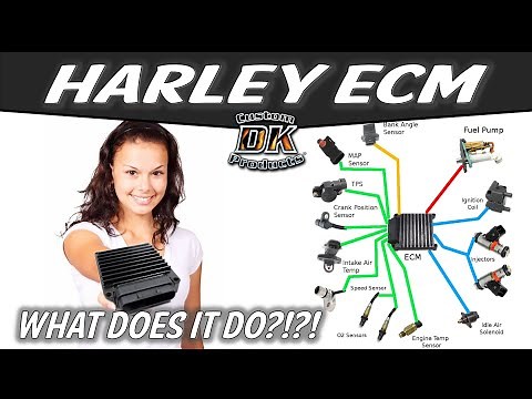 How the Electronic Control Module (ECM) Adapts