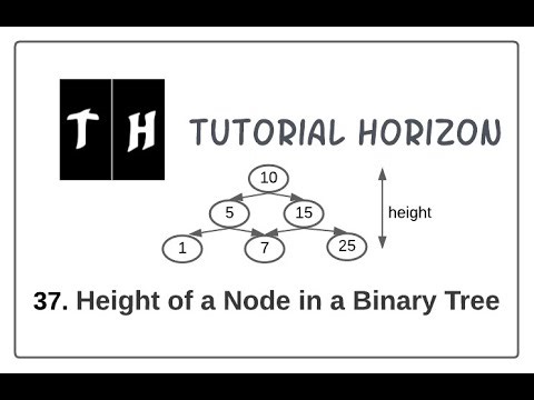 Get the Height of a Node in a Binary Tree | Beginner
