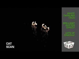 Cat Scan [2019] Alien Fireworks