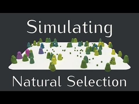 Simulating Natural Selection