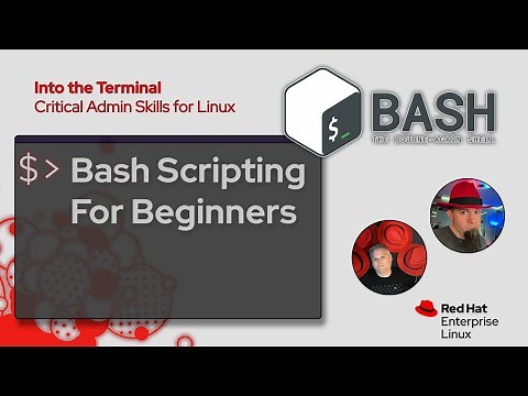 Basic shell scripting for Linux administrators | Into the Terminal 160