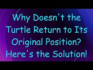 Why Doesn't the Turtle Return to Its Original Position? Here's the Solution!