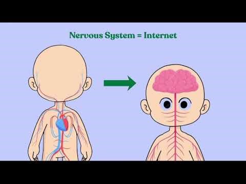 What is IoT? Using the Human Body (Simple & Easy)