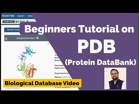 PDB Database Tutorial- A Beginners Guide