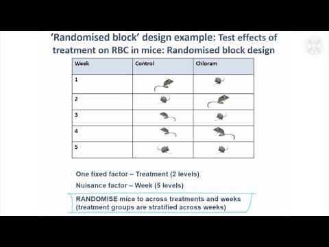 7. Randomised Block Designs