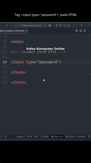 What Is Input Type Password in HTML? Function & How to Use It