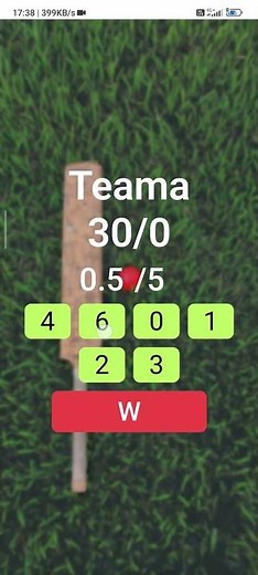 Cricket Score HTML CSS JAVASCRIPT Project | #cricketproejct #html #css #javascript