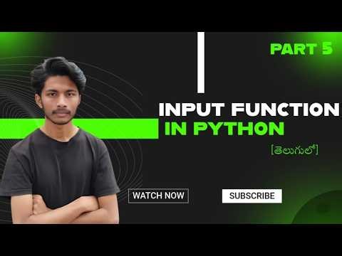 Learn Python Input Function Fast | Practical Examples Included