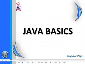 JAVA BASICS - SlideServe