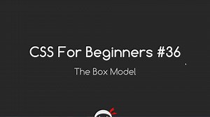 CSS Tutorial For Beginners 36 - The Box Model