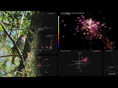 A Nightingale's Song Translated into Realtime Data