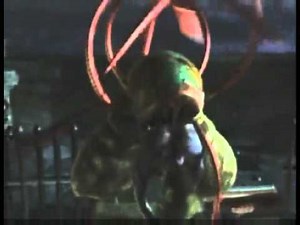 Elaine Spider Transformation