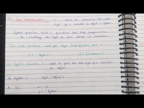 Python Lec 12 || Type Identification ~ type( ) & isinstance( ) | Command Line Arguments ~ syd method