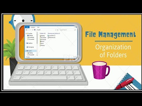 Learn what are files and folders. Video for Primary kids