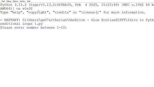 Conditional Loops in Python – Beginner Coding Lessons