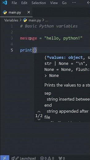Python Basics: VARIABLES in Under a Minute! 🐍