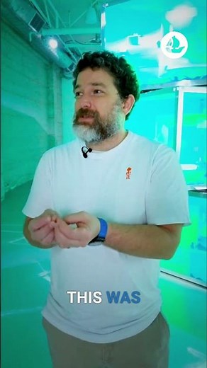 Snowfro Reveals How CryptoPunks Inspired Him to Build Art Blocks