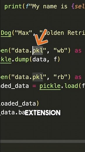Python Functions: The Pickle Function